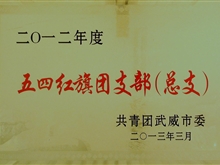 2012年五四红旗团支部（总支）奖